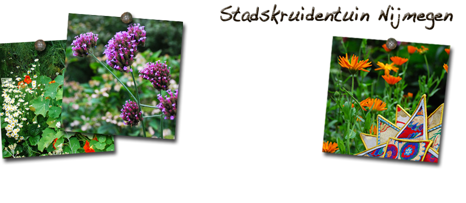 Stadskruidentuin banner